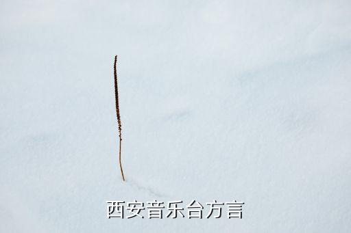 西安音樂(lè)臺(tái)方言