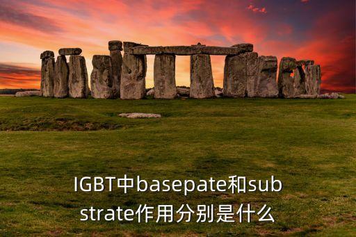 IGBT中basepate和substrate作用分別是什么