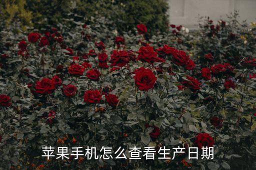 蘋果生產(chǎn)日期查詢，如何查詢蘋果手機(jī)生產(chǎn)日期