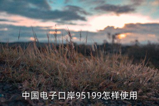 中國(guó)電子口岸95199怎樣使用