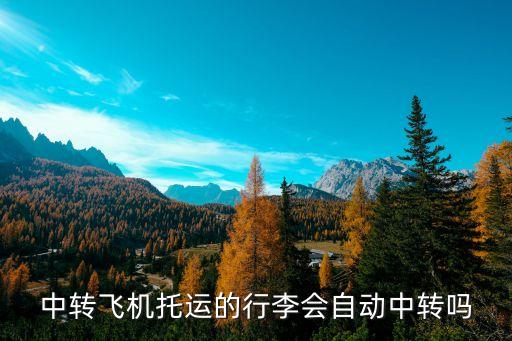 中轉(zhuǎn)飛機(jī)托運(yùn)的行李會(huì)自動(dòng)中轉(zhuǎn)嗎