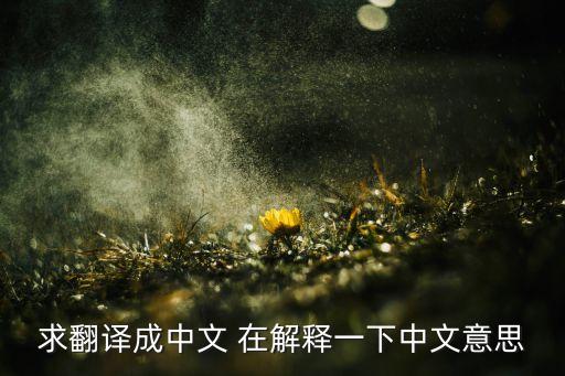 求翻譯成中文 在解釋一下中文意思