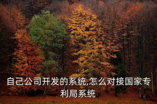 自己公司開(kāi)發(fā)的系統(tǒng),怎么對(duì)接國(guó)家專利局系統(tǒng)