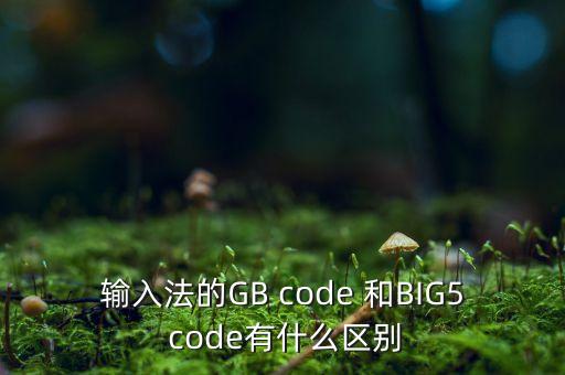 輸入法的GB code 和BIG5 code有什么區(qū)別