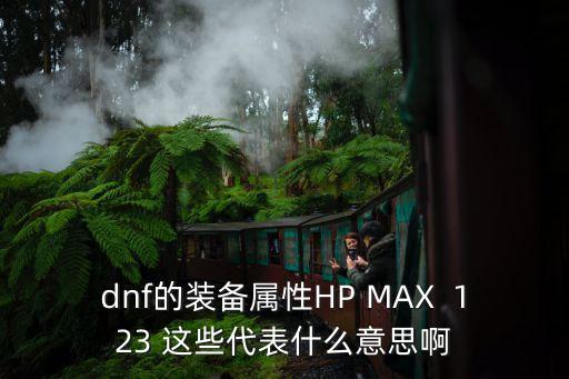 dnf的裝備屬性HP MAX  123 這些代表什么意思啊