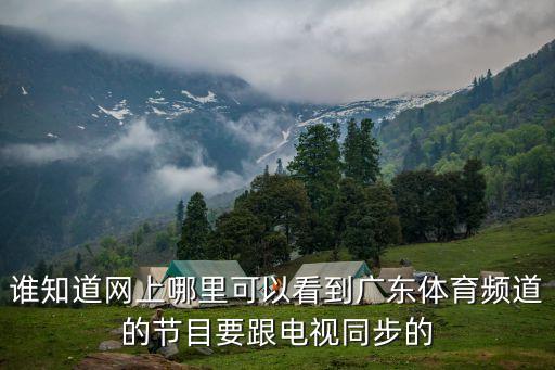 誰(shuí)知道網(wǎng)上哪里可以看到廣東體育頻道的節(jié)目要跟電視同步的