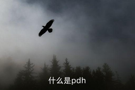 什么是pdh
