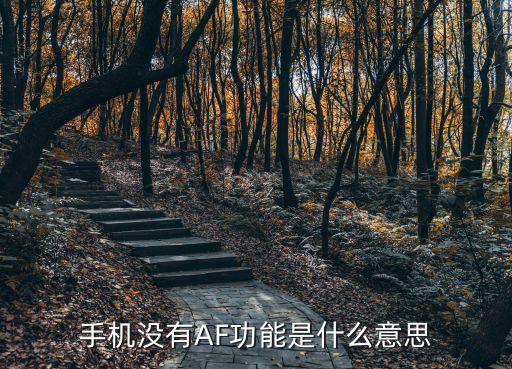 af是什么，手機沒有AF功能是什么意思