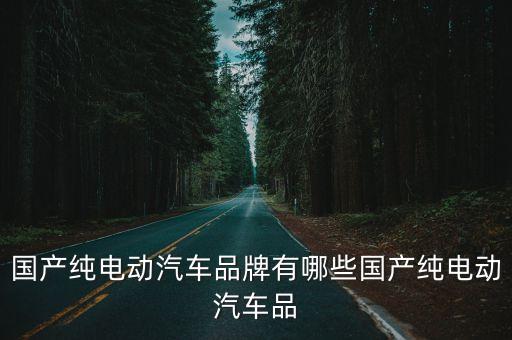 國產純電動汽車品牌有哪些國產純電動汽車品