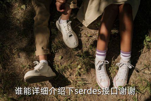 serdes接口，SDI 和SERDES之間的關(guān)系是什么啊 兩個(gè)各指的什么