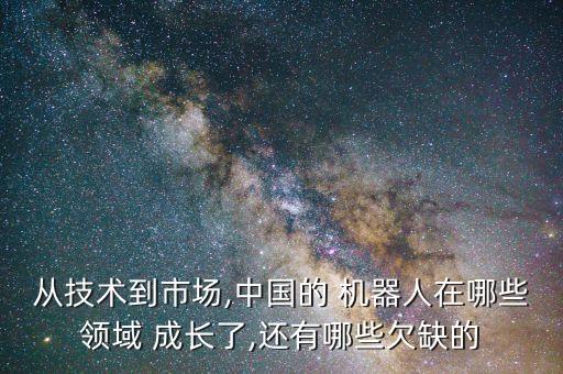 從技術(shù)到市場,中國的 機器人在哪些領(lǐng)域 成長了,還有哪些欠缺的