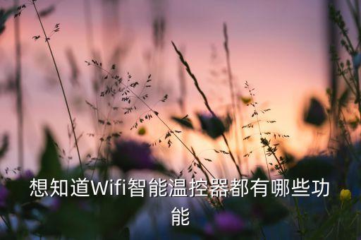 智能溫控儀，想知道Wifi智能溫控器都有哪些功能