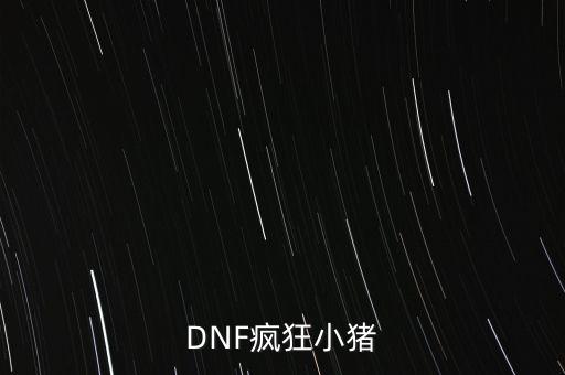 DNF瘋狂小豬