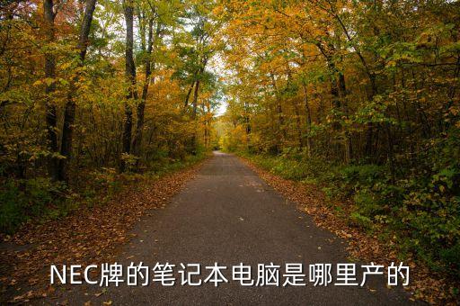 NEC牌的筆記本電腦是哪里產(chǎn)的