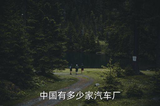 整車廠，中國有多少家汽車廠