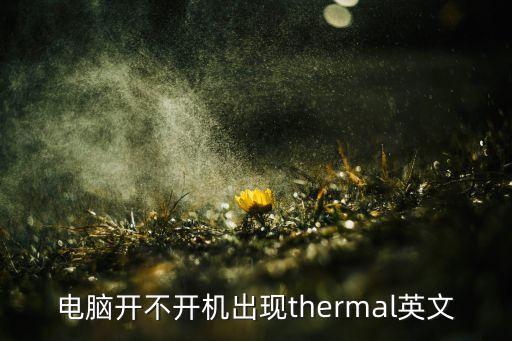 電腦開不開機(jī)出現(xiàn)thermal英文