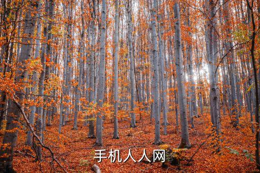 手機人人網(wǎng)