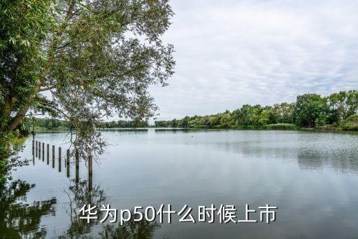 華為p50什么時候上市