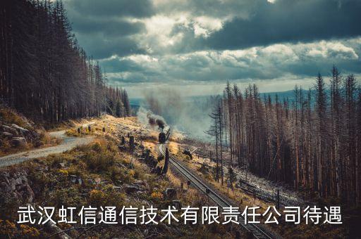 武漢虹信通信技術(shù)有限責(zé)任公司待遇