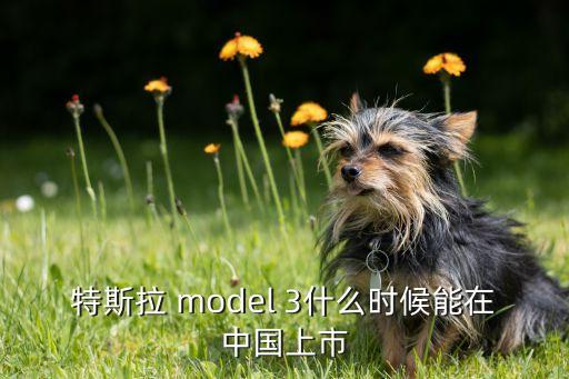 特斯拉上市時間，特斯拉在中國多久能上市