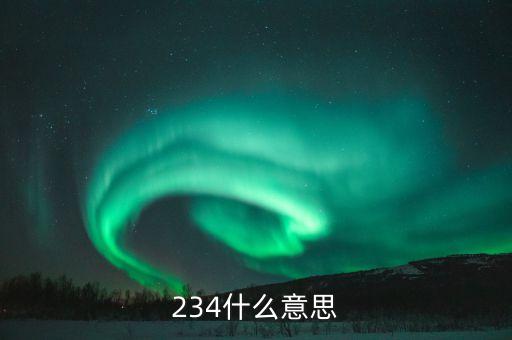 234什么意思