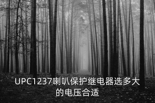 UPC1237喇叭保護(hù)繼電器選多大的電壓合適