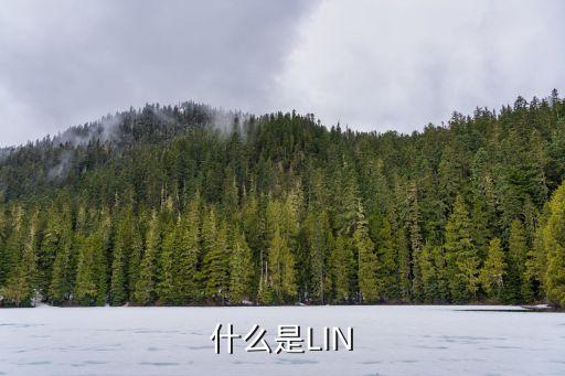 什么是LIN