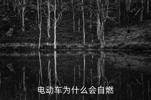 電動汽車自燃，現(xiàn)在的電動汽車起火都是哪些原因引起的