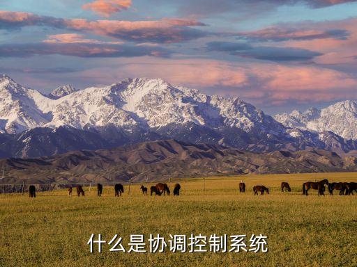 什么是協(xié)調(diào)控制系統(tǒng)