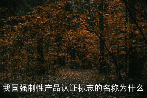 我國強制性產(chǎn)品認證標志的名稱為什么