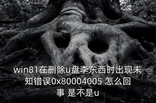 李東西，win81在刪除u盤李東西時出現(xiàn)未知錯誤0x80004005 怎么回事 是不是u