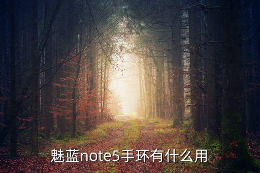魅族手環(huán)，魅藍(lán)note5手環(huán)有什么用