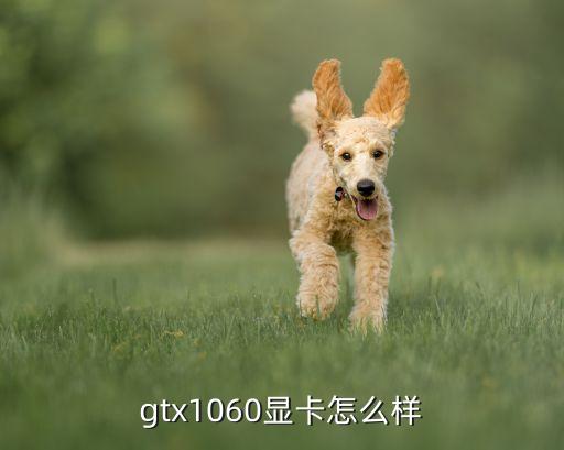 gtx1060顯卡怎么樣