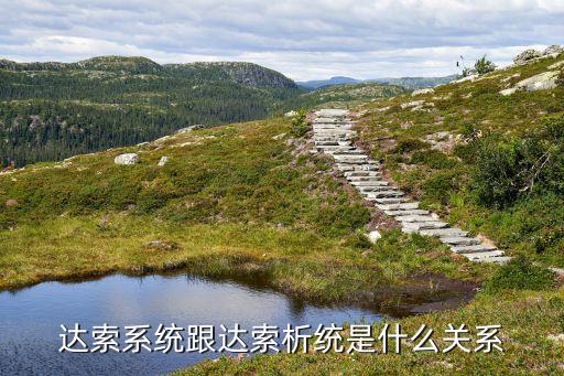 達(dá)索系統(tǒng)跟達(dá)索析統(tǒng)是什么關(guān)系