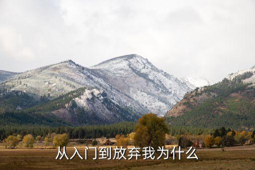 從入門到放棄我為什么