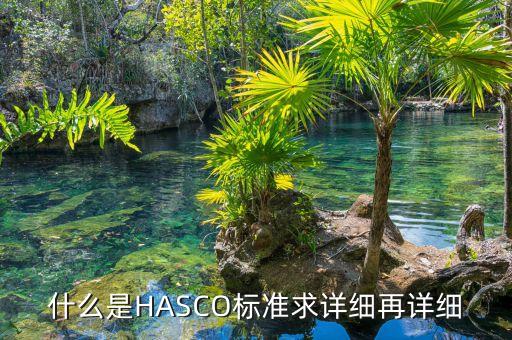 什么是HASCO標(biāo)準(zhǔn)求詳細(xì)再詳細(xì)