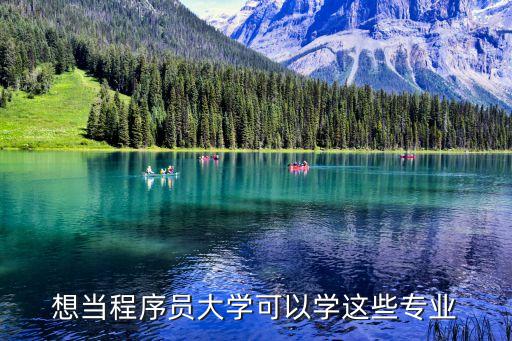 想當(dāng)程序員大學(xué)可以學(xué)這些專業(yè)