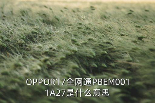 OPPOR17全網(wǎng)通PBEM0011A27是什么意思
