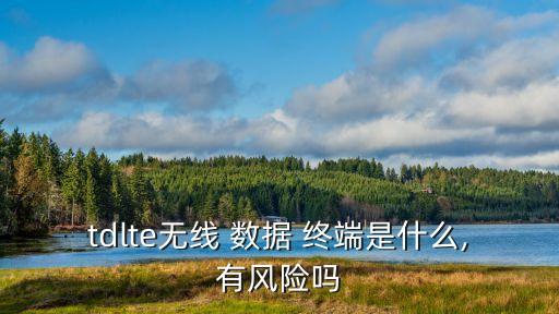 tdlte無線 數(shù)據(jù) 終端是什么,有風(fēng)險嗎