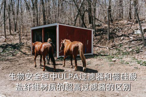 ULPA，hepa過濾網(wǎng)是什么