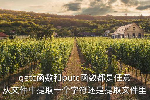 getc函數(shù)和putc函數(shù)都是任意從文件中提取一個字符還是提取文件里