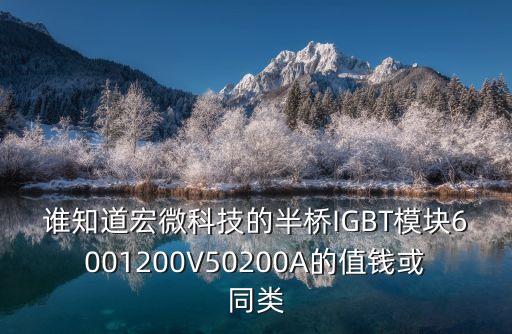 誰知道宏微科技的半橋IGBT模塊6001200V50200A的值錢或同類