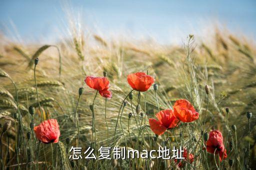 怎么復(fù)制mac地址