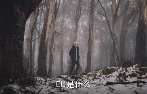 EU是什么