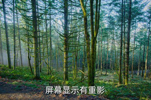 屏幕顯示有重影
