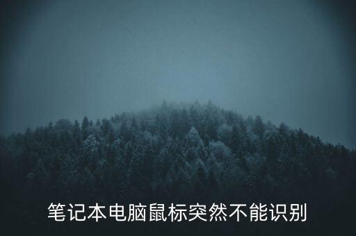 筆記本電腦鼠標突然不能識別