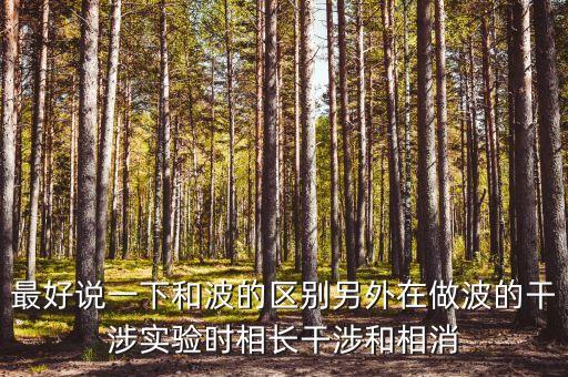 最好說一下和波的區(qū)別另外在做波的干涉實(shí)驗(yàn)時相長干涉和相消