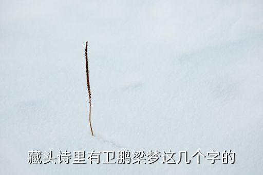 藏頭詩里有衛(wèi)鵬梁夢這幾個(gè)字的