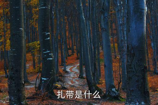 扎帶，什么是活扣尼龍扎帶