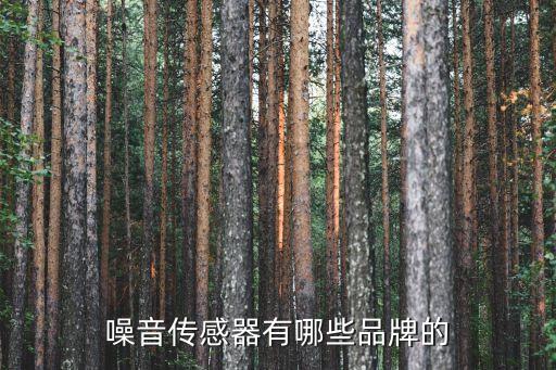 噪音傳感器有哪些品牌的